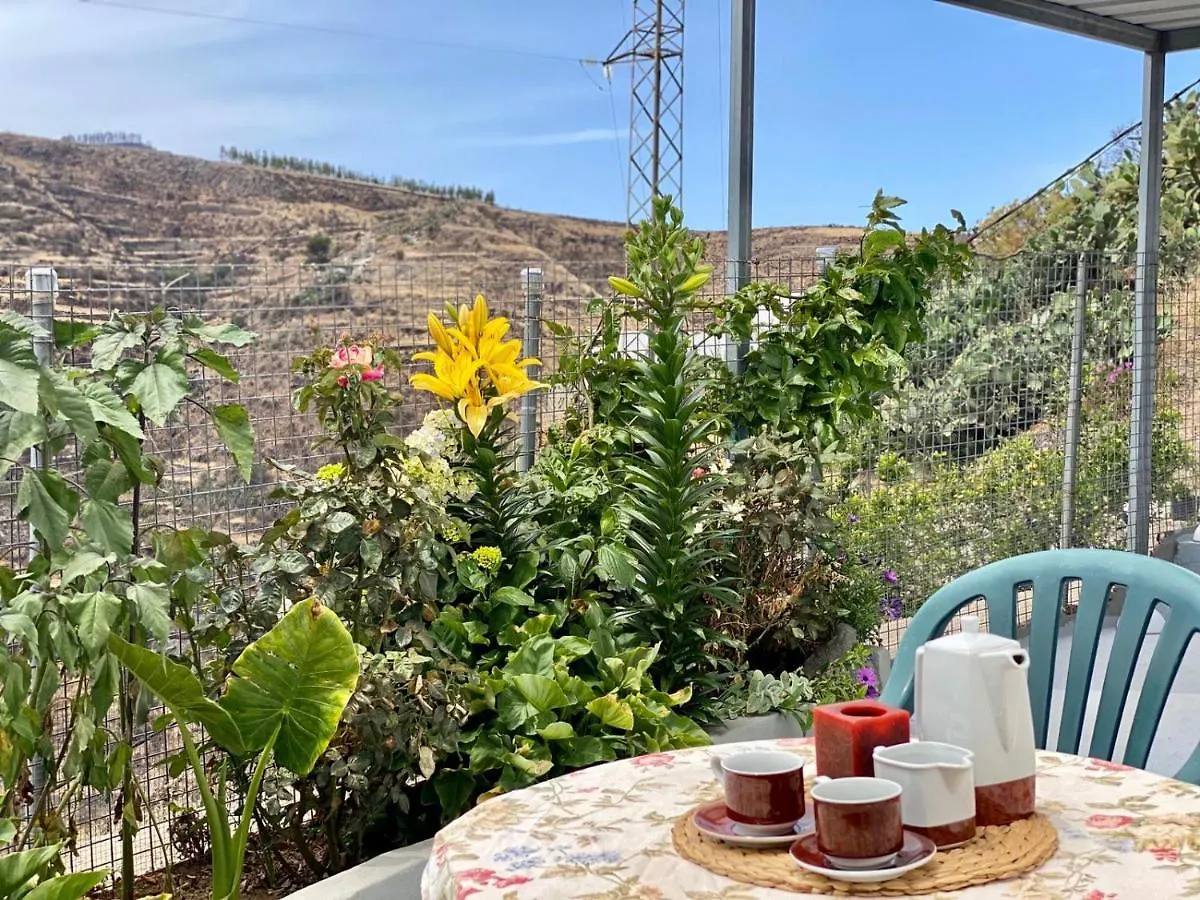 Juncalillo House Konuk evi Gáldar Kır Evi