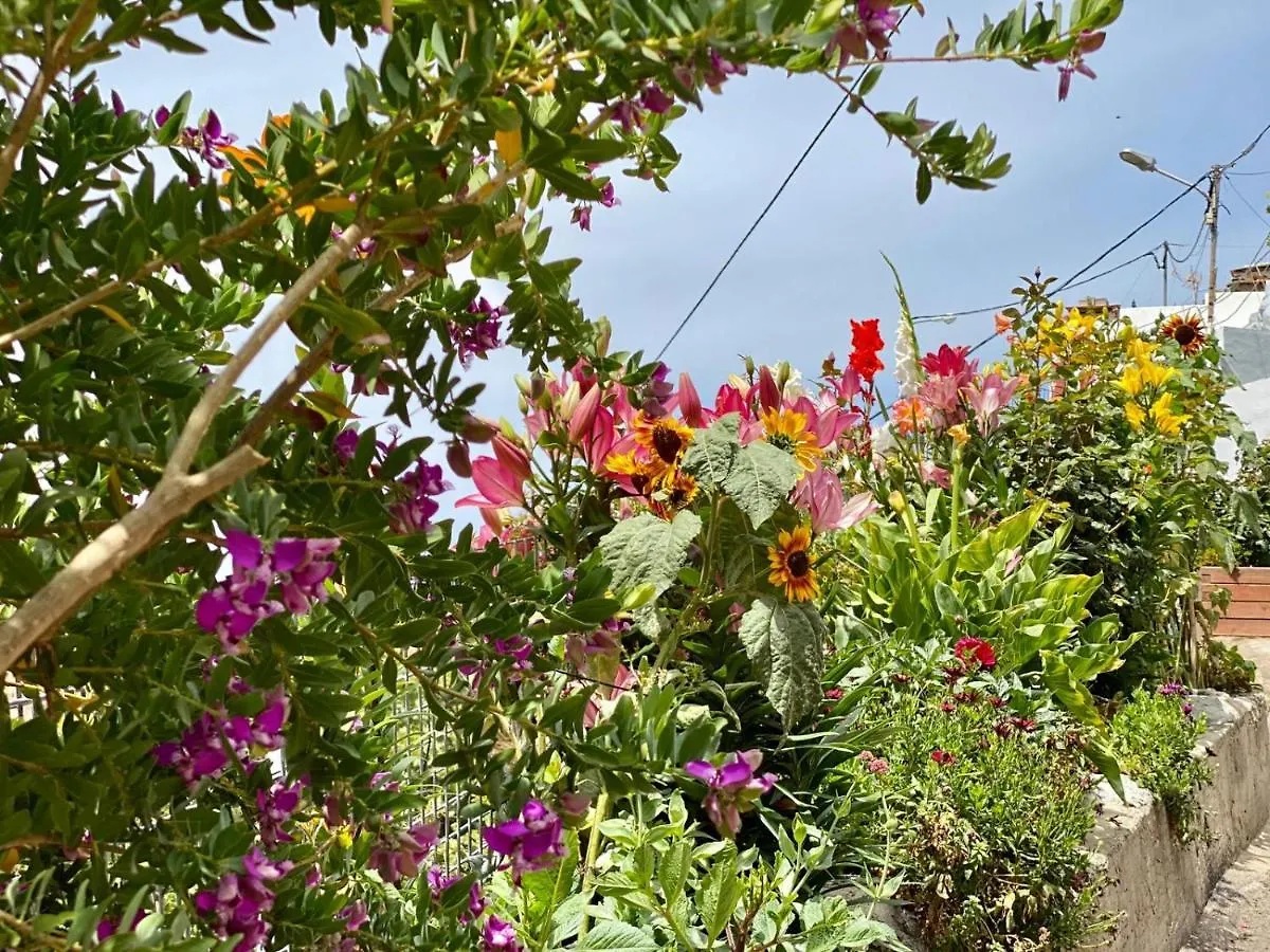 Juncalillo House Guest House Galdar Spain